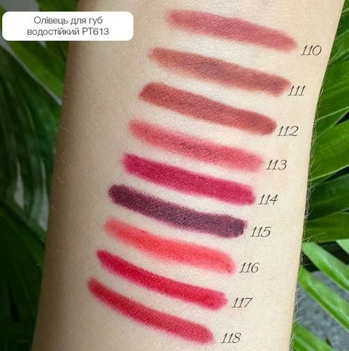 TOPFACE ОЛІВЕЦЬ ДЛЯ ГУБ ВОДОСТІЙКИЙ WATERPROOF LIPLINER 110 1122 фото