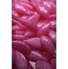 ZOLA Віск ганульований Brow Epil Wax Pink Pearl 100 г. 0175 фото